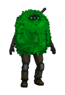 Bush