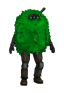 Bush